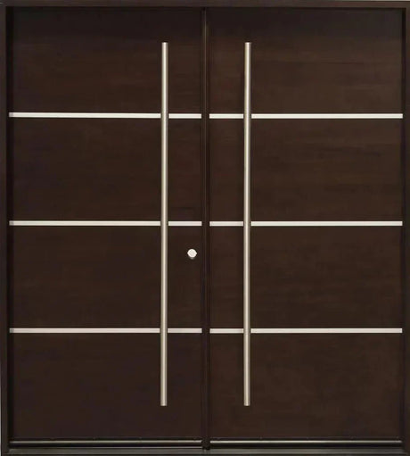 Modern Double Doors