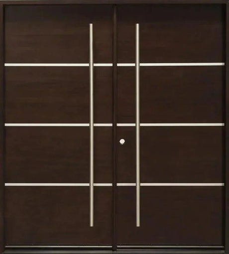Modern Double Doors
