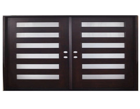 Modern Double Front Doors