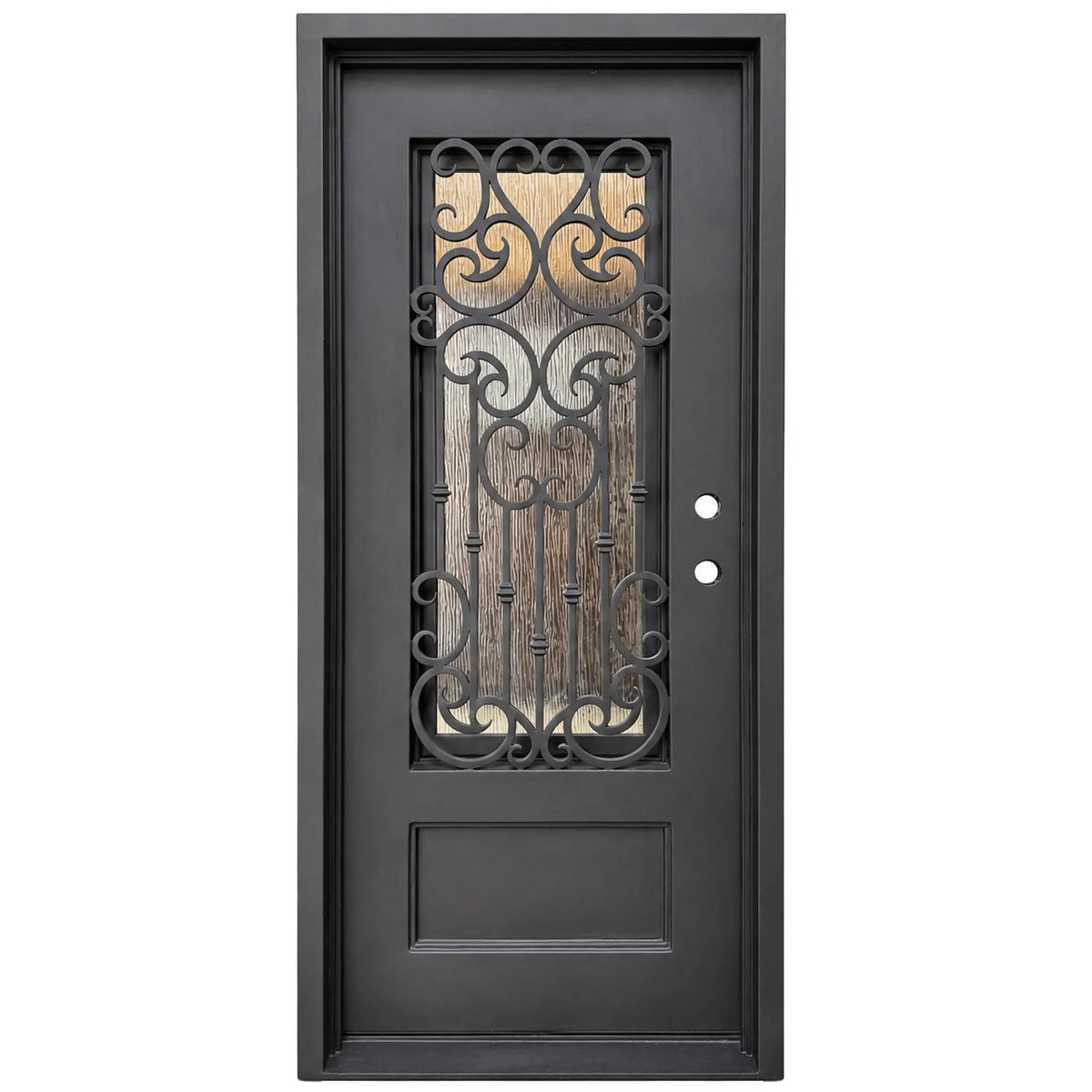 Black iron single front entry door with vertical glass panels, modern steel frame, straight-on view