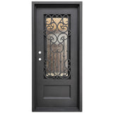 Black iron single front entry door with vertical glass panels, modern steel frame, straight-on view