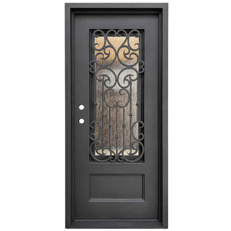 Black iron single front entry door with vertical glass panels, modern steel frame, straight-on view