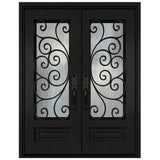 Black iron double front entry door with glass panels, modern exterior straight-on view