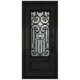 Black iron single front entry door with vertical glass panels, modern steel frame, straight-on view