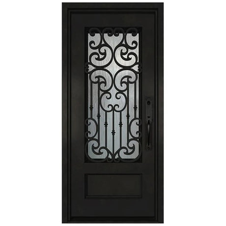 Black iron single front entry door with vertical glass panels, modern steel frame, straight-on view