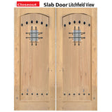 Exterior double solid wood entry doors with classic panel design, front view