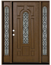 Load image into Gallery viewer, FD280W-Belleville Fiberglass Iron Glass Doors