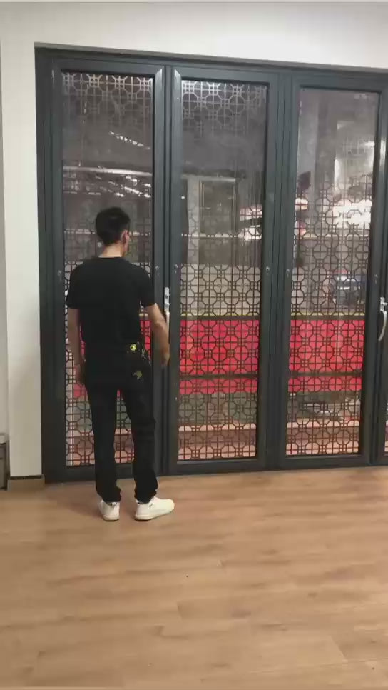 Folding Door
