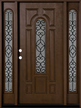 Load image into Gallery viewer, Belleville Fiberglass Iron Glass Door and Sidelights