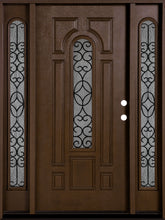 Load image into Gallery viewer, Belleville Fiberglass Iron Glass Double Door