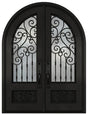Black iron double front entry door with large glass panels, modern exterior straight-on view